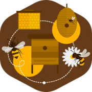 HONEY QUALITIES